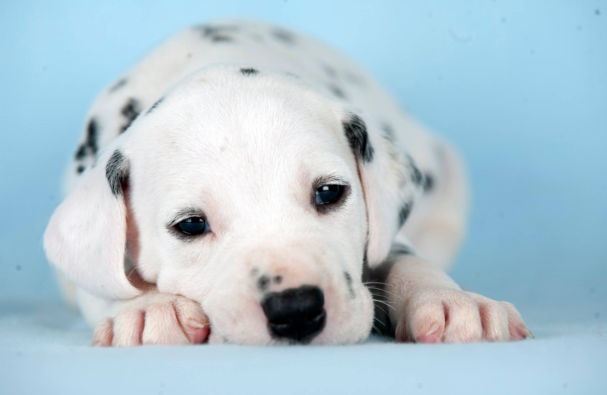 13708201 1040107509391964 6901200568807556566 o