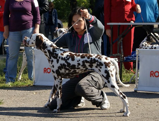 izbrannitsa bogov